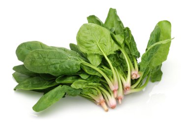 Bir demet taze ıspanak beyazda izole edilmiş.