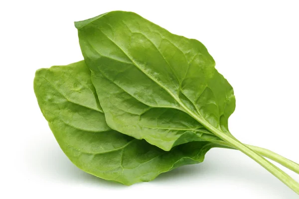 Bunch of fresh spinach isolated on white — Stock Photo, Image