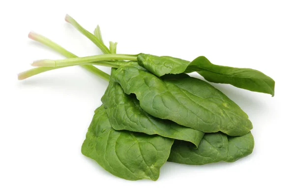 Bunch of fresh spinach isolated on white — Stock Photo, Image