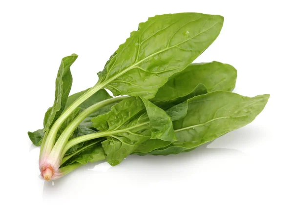 Bunch of fresh spinach isolated on white — Stock Photo, Image