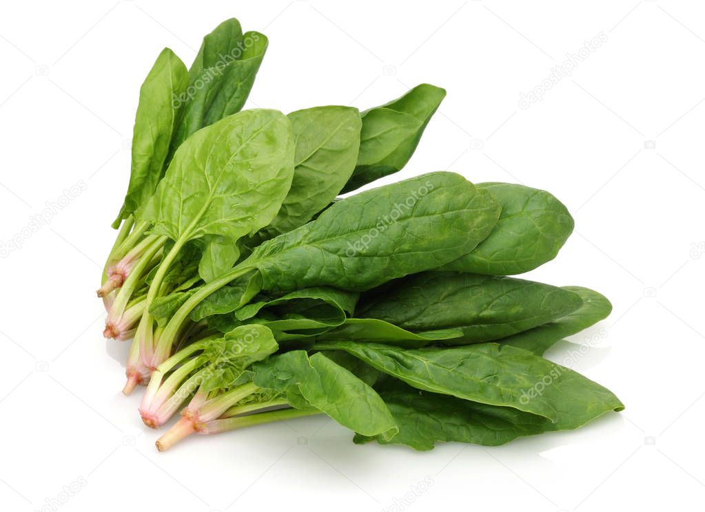 Bunch of fresh spinach isolated on white