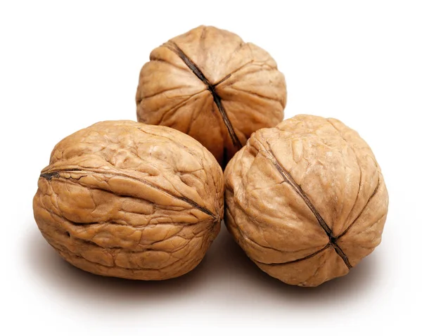 Nueces enteras aisladas en blanco — Foto de Stock