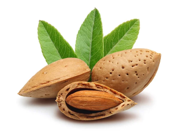 Almendras con hojas aisladas en blanco —  Fotos de Stock