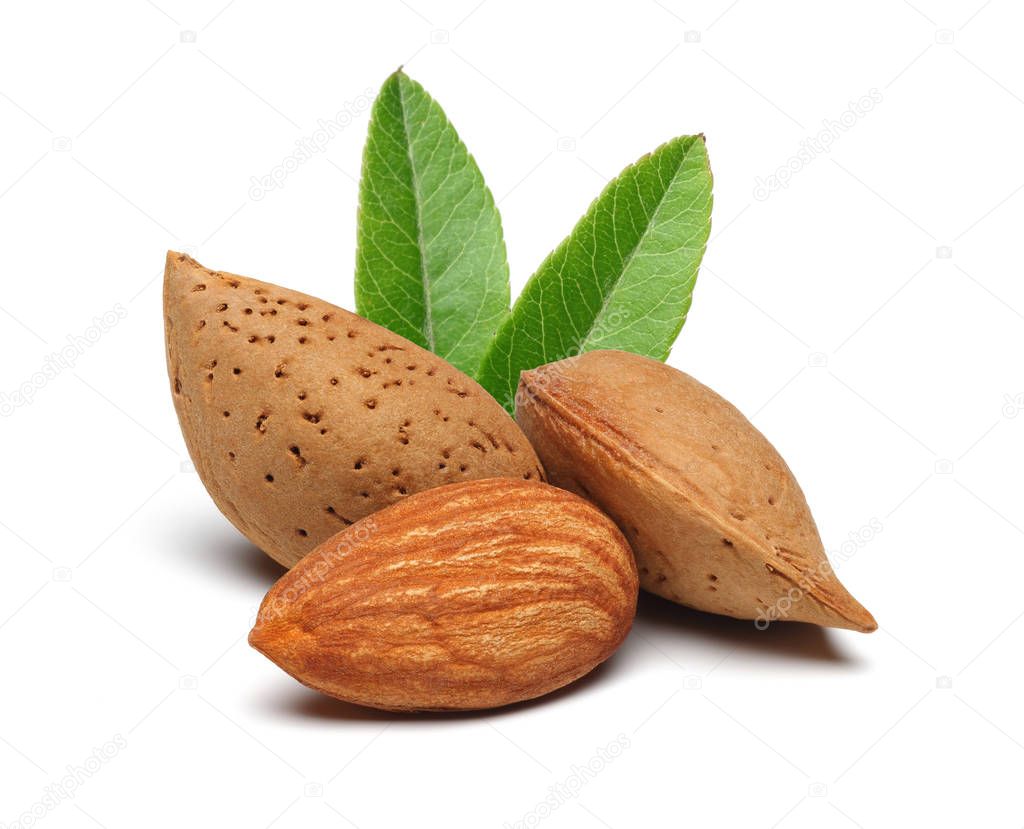 Almonds with leaves isolated on white