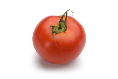 Taze tek domates beyaz izole