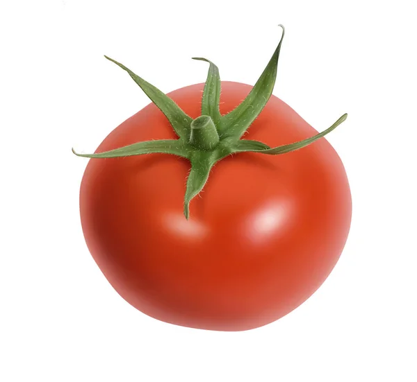 Tomates fraîches isolées sur blanc — Photo