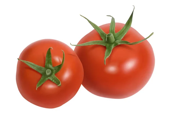 Tomates fraîches isolées sur blanc — Photo