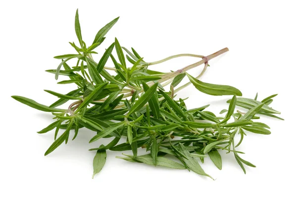 taze yeşil kekik üzerine beyaz izole