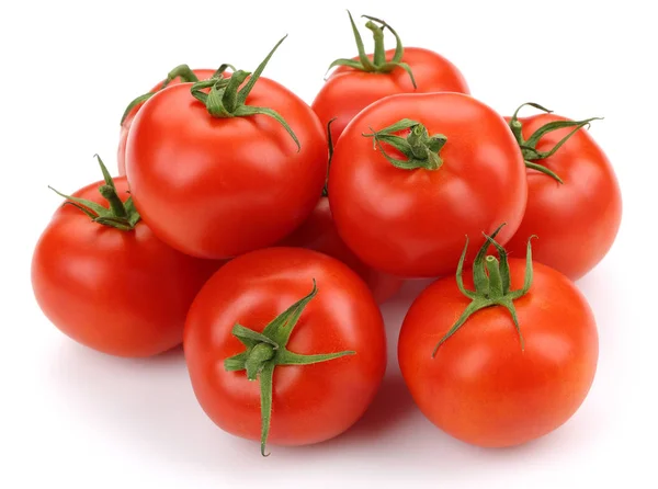 Tomates fraîches isolées sur blanc — Photo