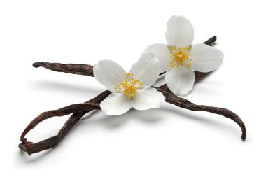 Yasemin çiçekler izole vanilya çubukları