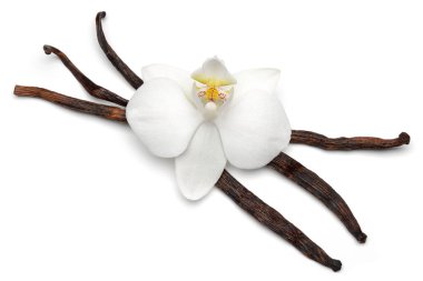 Beyaz izole orkide çiçek ile Vanilya çubukları