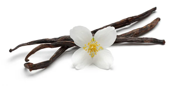 Laski wanilii z kwiatami jaśminu na białym tle — Zdjęcie stockowe