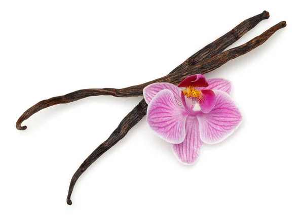 Bastoncini di vaniglia con fiore di orchidea isolato su bianco — Foto Stock