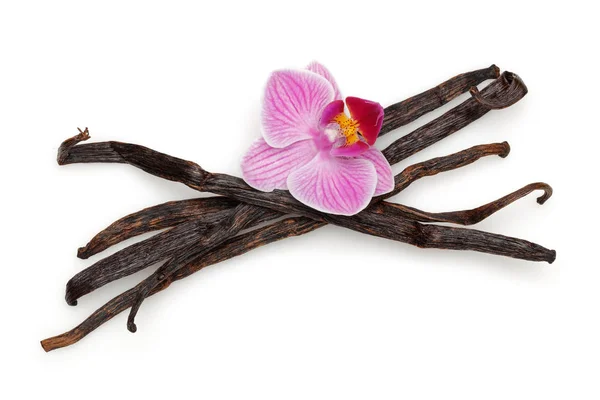 Bastoncini di vaniglia con fiore di orchidea isolato su bianco — Foto Stock
