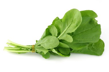 Beyaz üzerinde izole bir demet taze rucola