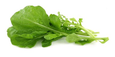 Beyaz üzerinde izole bir demet taze rucola