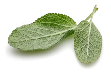 Yeşil adaçayı yaprakları üzerinde beyaz izole