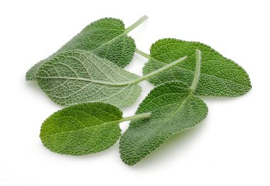 Yeşil adaçayı yaprakları üzerinde beyaz izole