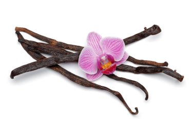 Beyaz izole orkide çiçek ile Vanilya çubukları