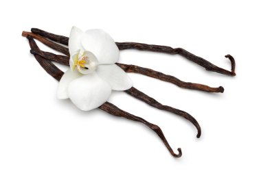 Beyaz izole orkide çiçek ile Vanilya çubukları