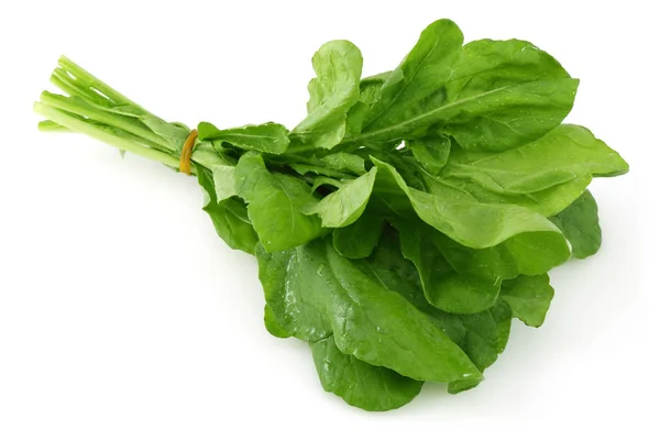 Bunch of fresh rucola isolated on white — Stock Photo, Image