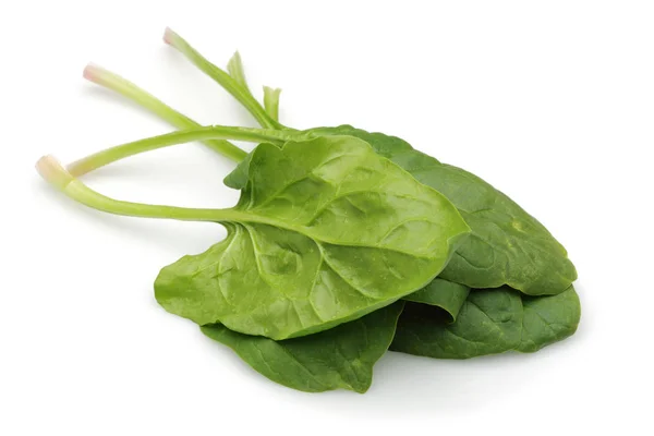 Fresh spinach isolated on white — Stock Photo, Image