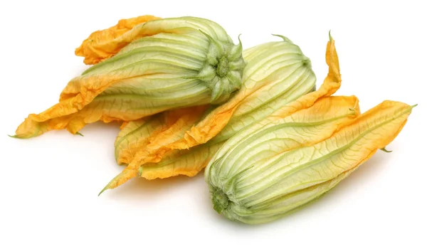 Squash Blossoms isolated on white