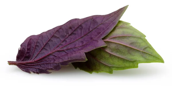 Purpurowe i zielone liście bazylii izolowane białym — Zdjęcie stockowe