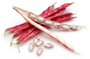 Beyaz üzerinde izole taze Pinto fasulye