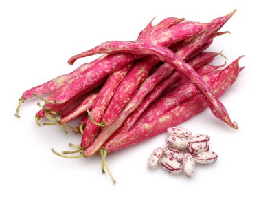 Beyaz üzerinde izole taze Pinto fasulye