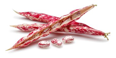 Beyaz üzerinde izole taze Pinto fasulye