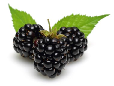 böğürtlen yaprakları üzerinde beyaz izole