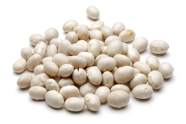 Weiße Haricot Bohnen isoliert auf weiß — Stockfoto