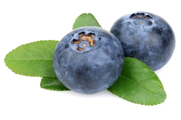 Frische Blaubeeren mit isolierten Blättern auf weißem Grund — Stockfoto