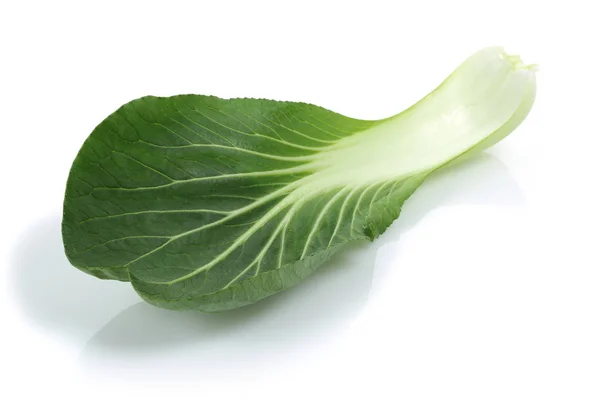 Bok choy eller kinesisk kål isolerad — Stockfoto