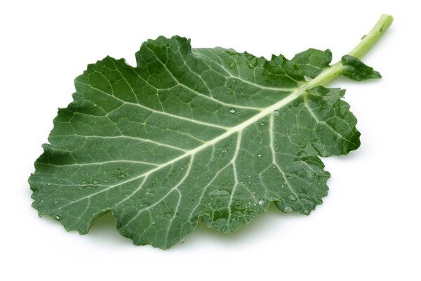 Fresh black cabbage isolated on white