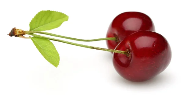 Cerezas rojas maduras con hojas verdes aisladas — Foto de Stock