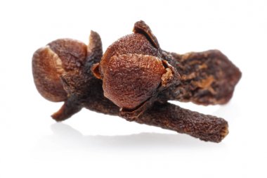 Kuru karanfil tomurcukları beyaz izole