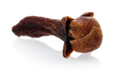 Beyaz izole kuru karanfil bud