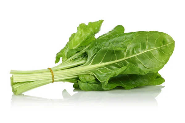 taze pazı yaprakları üzerinde beyaz izole