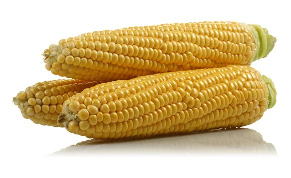 新鲜的玉米隔离在白色 — 图库照片