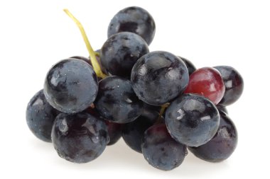 Taze siyah üzüm beyaz izole