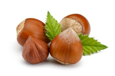 Beyaz yapraklı fındık