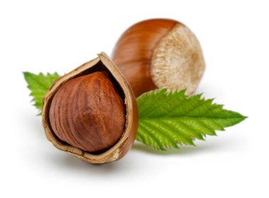 Beyaz yapraklı fındık