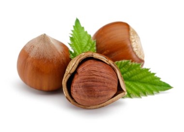 Beyaz yapraklı fındık