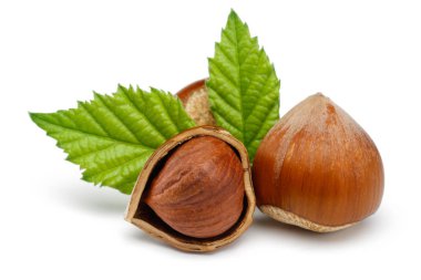 Beyaz yapraklı fındık