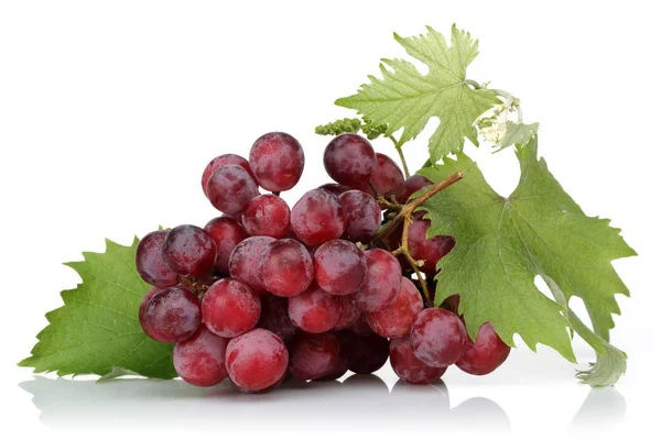 Raisins rouges frais avec feuille isolée sur blanc — Photo