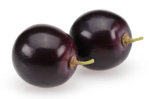 Fresh black grapes isolated on white — Stock Photo, Image