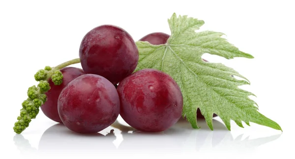 Fresh red grapes with leaf isolated on white — Stock Photo, Image