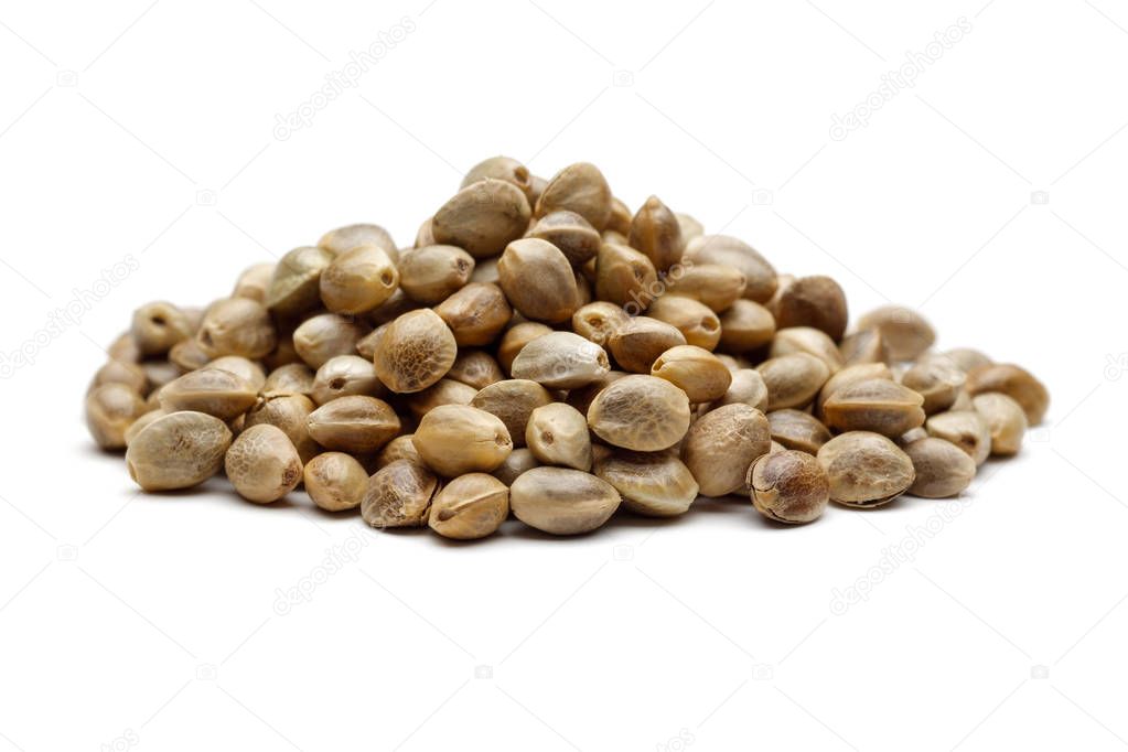 Heap of dry hemp seeds isolated on white